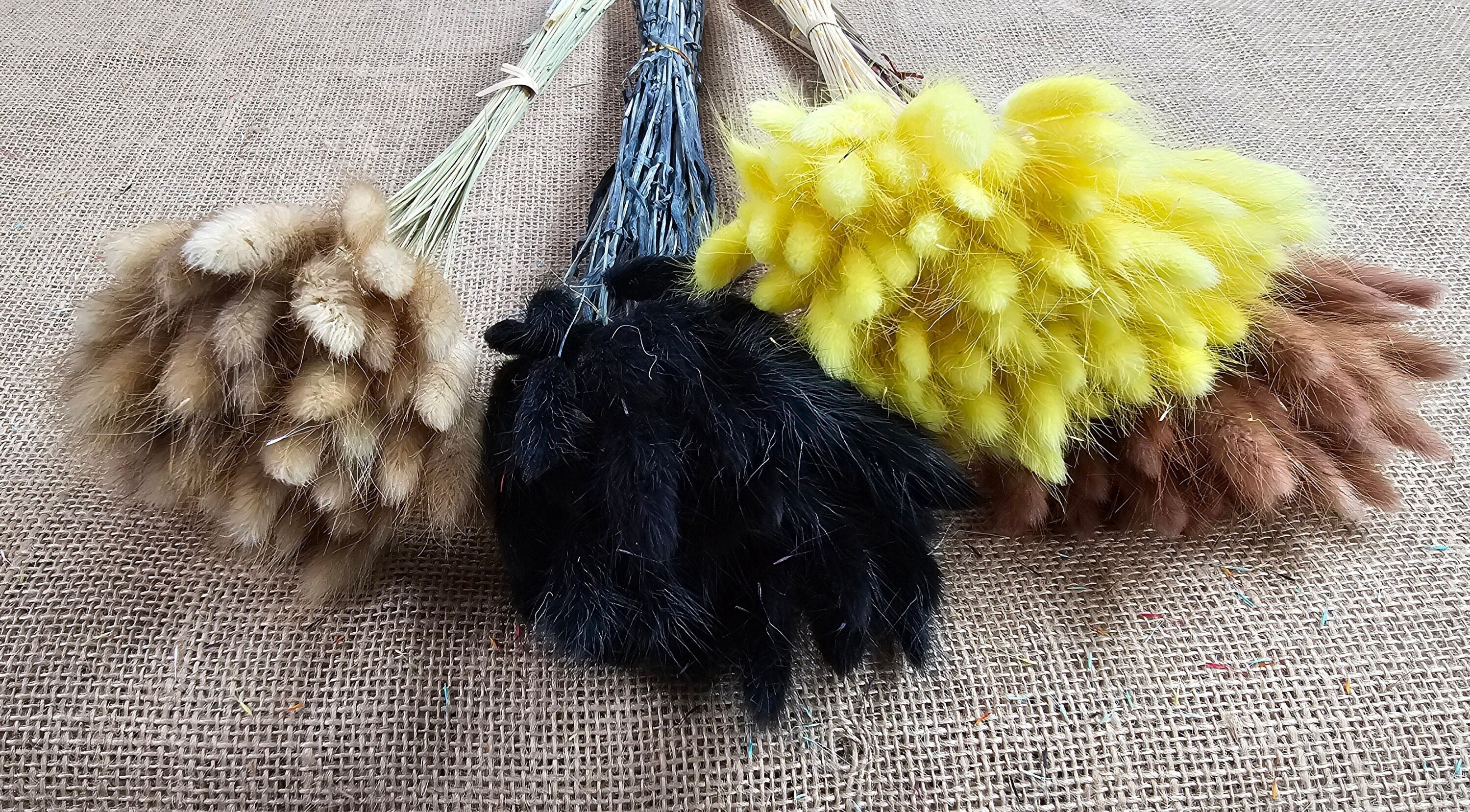 Black Dried Bunny Tail Grass Stems (50-55 stems) - Boho Wedding Decor